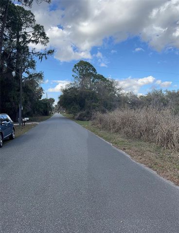 COVE ROAD, Tavares, FL 32778