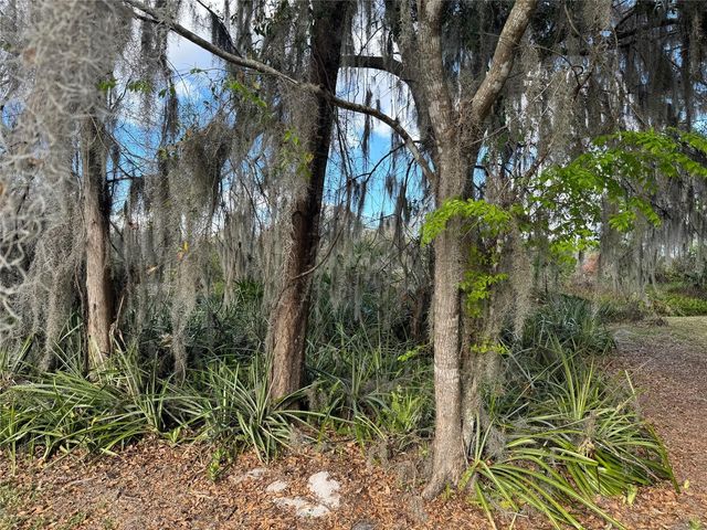 COVE ROAD, Tavares, FL 32778