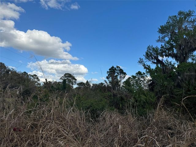 COVE ROAD, Tavares, FL 32778