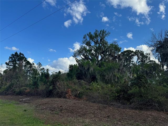 COVE ROAD, Tavares, FL 32778