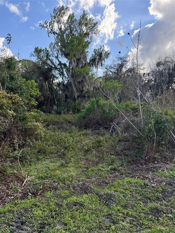 COVE ROAD, Tavares, FL 32778