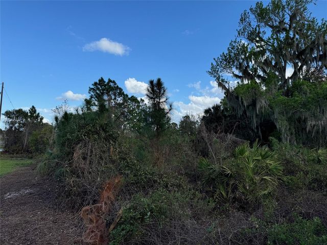 COVE ROAD, Tavares, FL 32778