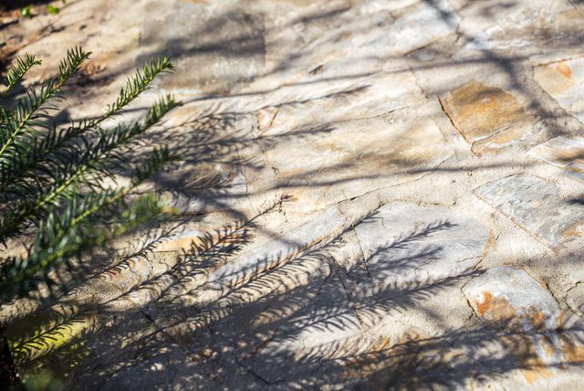 217 Abbeville Avenue NW, Aiken, SC 29801