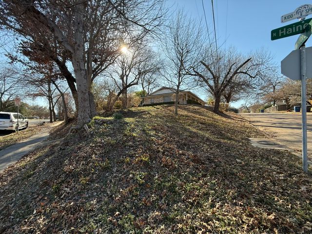 1137 Haines Avenue 1137, Dallas, TX 75208