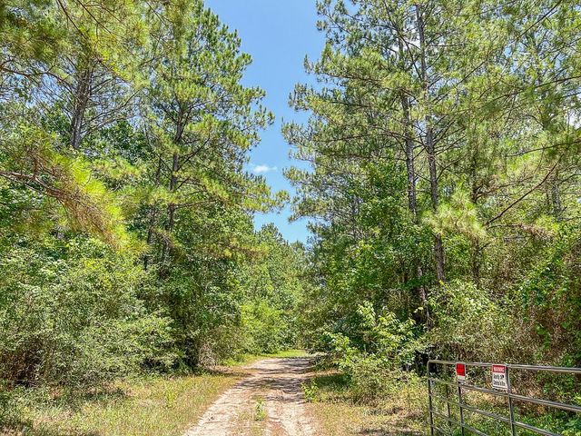 03 Cr 364e, Zavalla, TX 75980