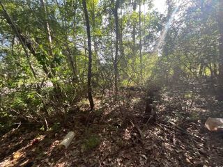 2651 Claire Drive, Orange, TX 77630