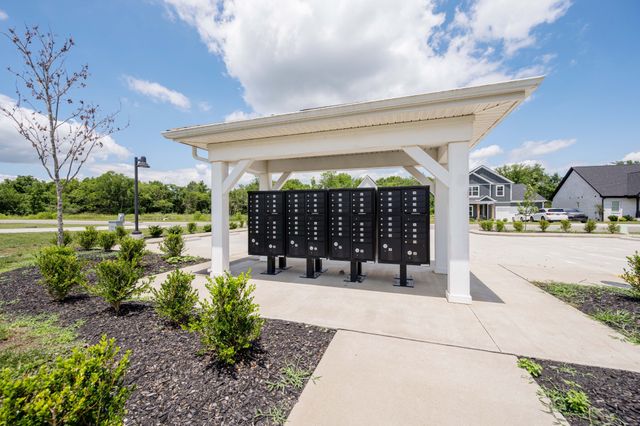 3213 Stonehorn Dr, Bell Buckle, TN 37020