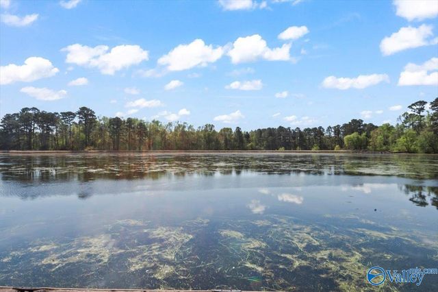 1511 Point Of Pines, Guntersville, AL 35976