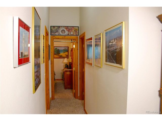 2916 Campfire Rd, Hartsel, CO 80449