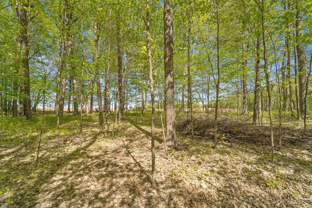 9660 MANU ROAD, Fremont, WI 54940