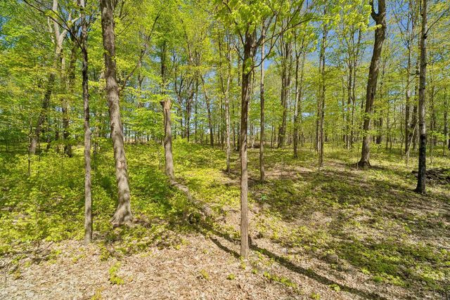 9660 MANU ROAD, Fremont, WI 54940