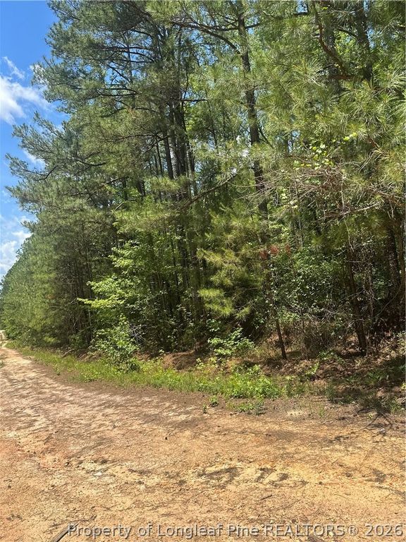 355 Marigold Lane, Vass, NC 28394 — photo 3