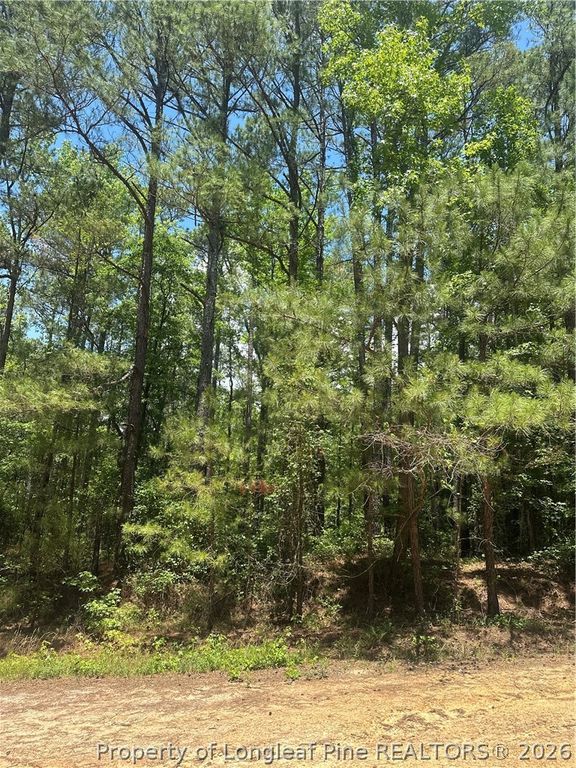 355 Marigold Lane, Vass, NC 28394 — photo 4