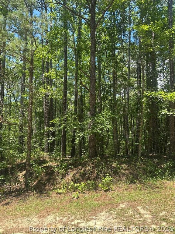 355 Marigold Lane, Vass, NC 28394 — photo 5