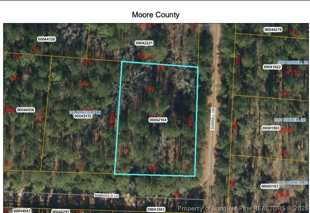 355 Marigold Lane, Vass, NC 28394 — photo 6