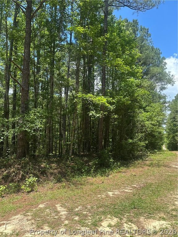 355 Marigold Lane, Vass, NC 28394 — photo 7