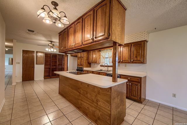 900 N Graytown Rd, St Hedwig, TX 78152