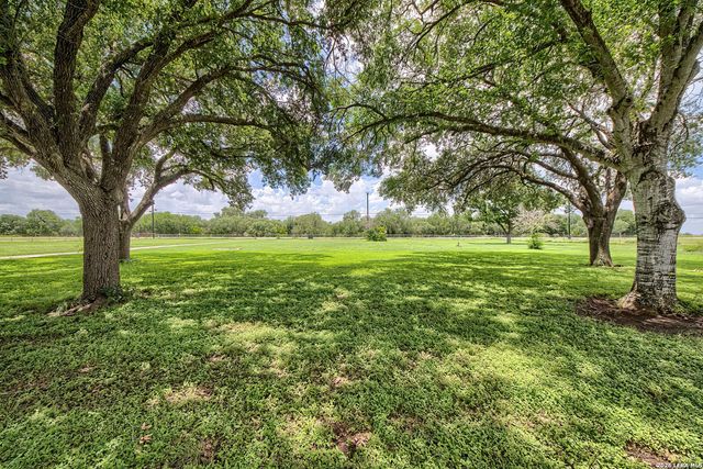 900 N Graytown Rd, St Hedwig, TX 78152