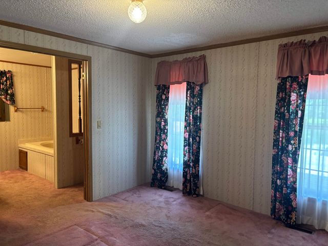6364 E Townline Road, Birch Run, MI 48415