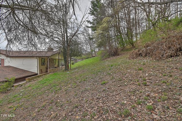 169 Denton Lane, Bristol, VA 24201