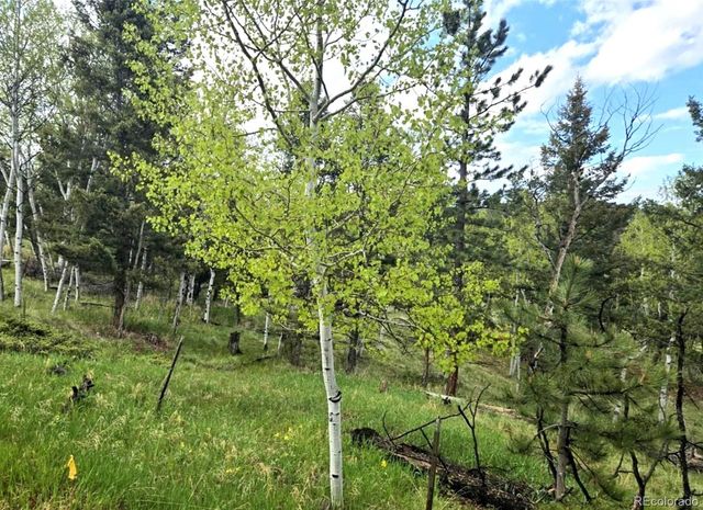 1845 Burland Drive, Bailey, CO 80421