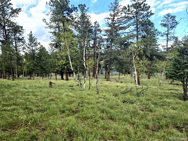 1845 Burland Drive, Bailey, CO 80421