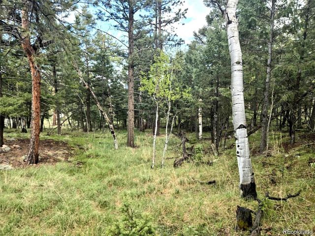 1845 Burland Drive, Bailey, CO 80421