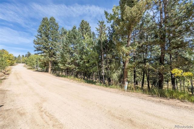 1845 Burland Drive, Bailey, CO 80421