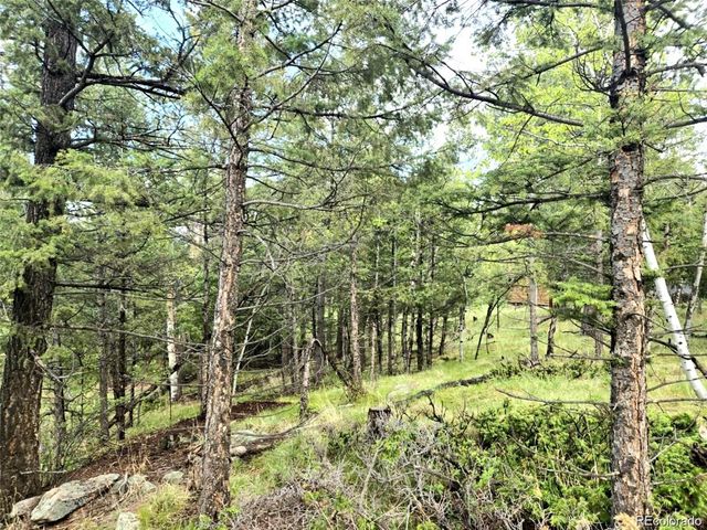 1845 Burland Drive, Bailey, CO 80421