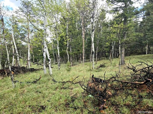 1845 Burland Drive, Bailey, CO 80421