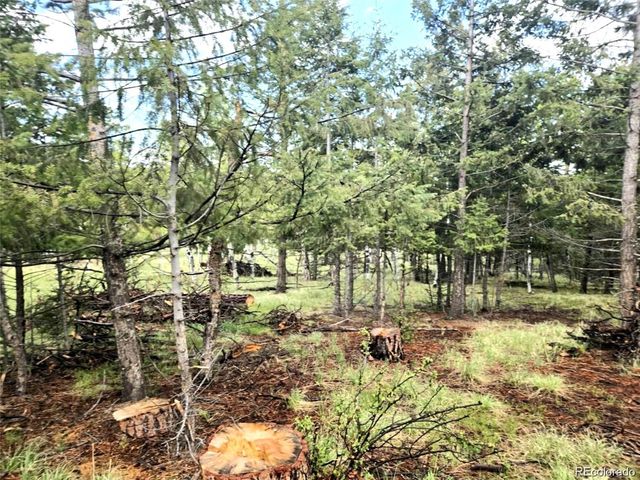 1845 Burland Drive, Bailey, CO 80421