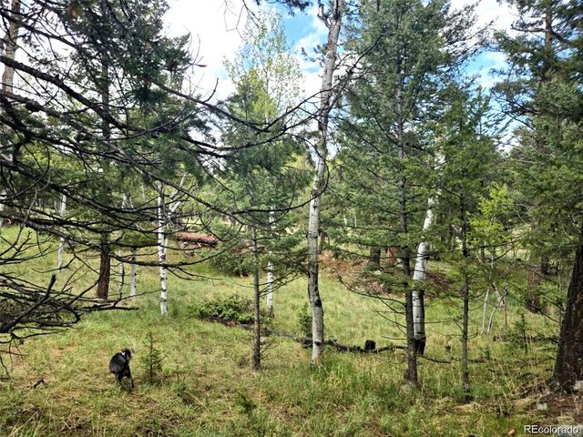 1845 Burland Drive, Bailey, CO 80421
