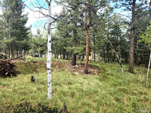 1845 Burland Drive, Bailey, CO 80421