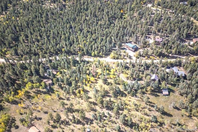 1845 Burland Drive, Bailey, CO 80421