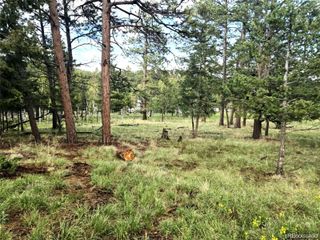 1845 Burland Drive, Bailey, CO 80421