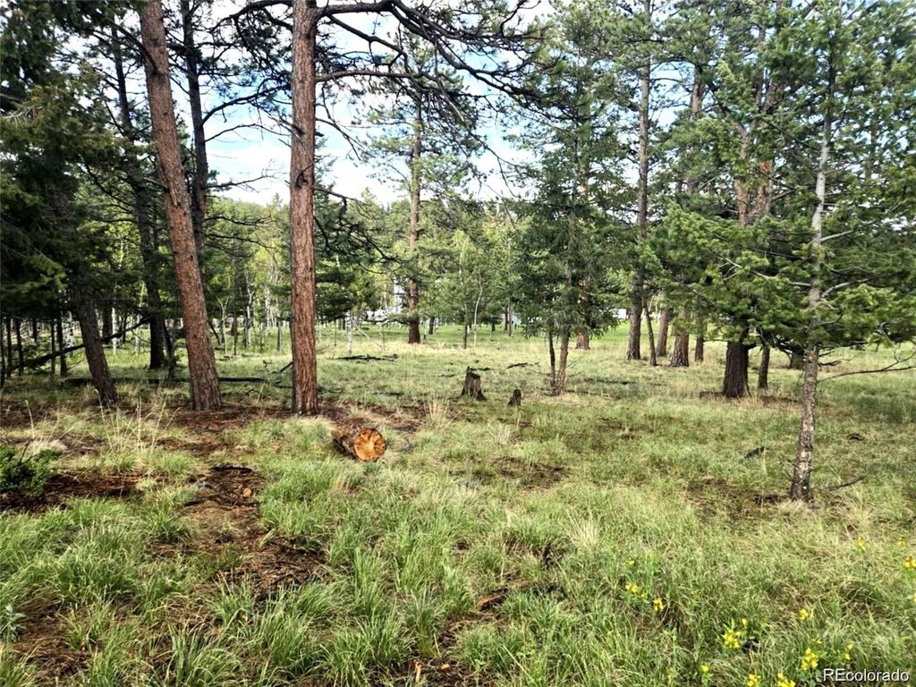 1845 Burland Drive, Bailey, CO 80421