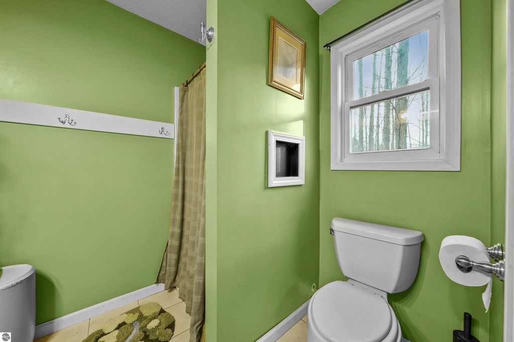 Image 28 of property listing at 8784 M-66, Fife Lake, MI 49633