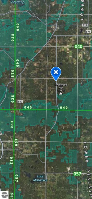 Image 52 of property listing at 8784 M-66, Fife Lake, MI 49633