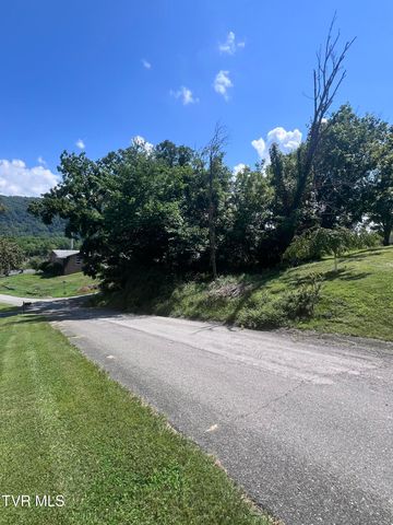Tbd Anita Avenue, Gate City, VA 24251