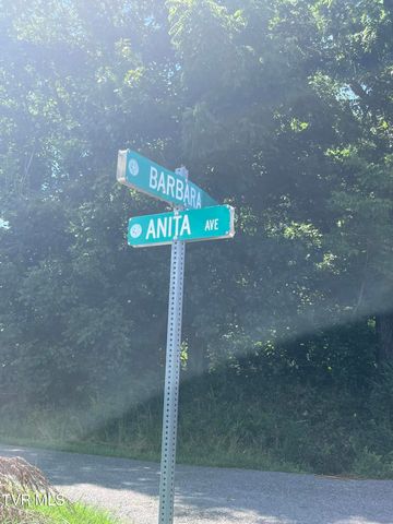 Tbd Anita Avenue, Gate City, VA 24251