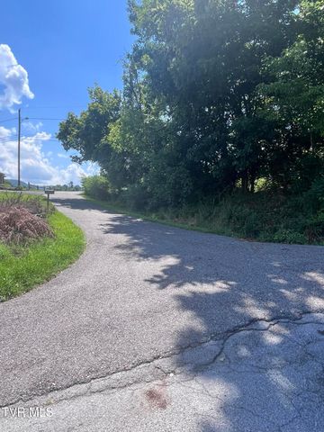 Tbd Anita Avenue, Gate City, VA 24251