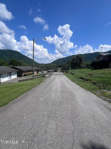 Tbd Anita Avenue, Gate City, VA 24251