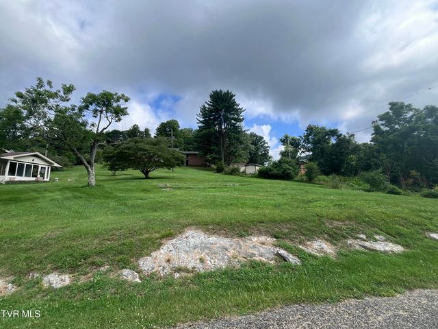 Tbd Anita Avenue, Gate City, VA 24251