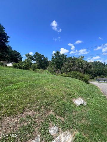 Tbd Anita Avenue, Gate City, VA 24251
