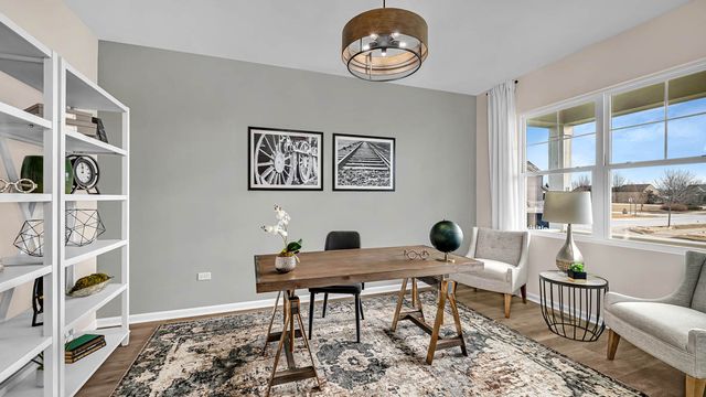 1232 Wildflower Lane, Bartlett, IL 60103