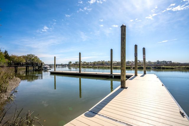 401 Creek Landing Street, Daniel Island, SC 29492