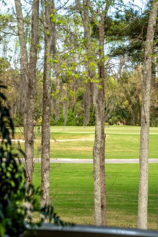 401 Creek Landing Street, Daniel Island, SC 29492