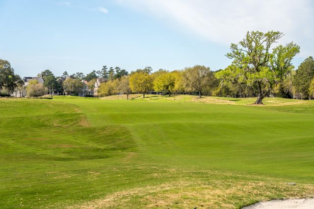 401 Creek Landing Street, Daniel Island, SC 29492