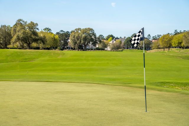 401 Creek Landing Street, Daniel Island, SC 29492