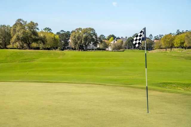 401 Creek Landing Street, Daniel Island, SC 29492